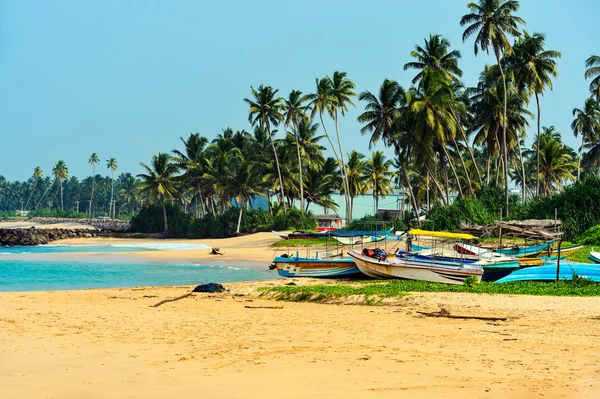 Sri Lanka — Foto Stock