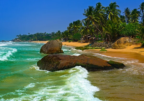 Sri Lanka — Photo