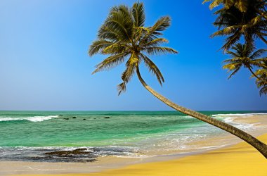 Sri Lanka
