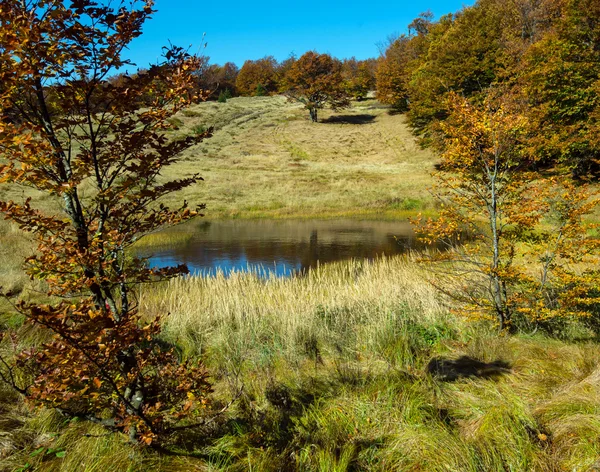 Podzimní krajina — Stock fotografie