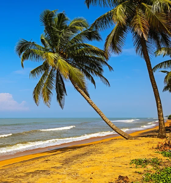 Sri Lanka — Stockfoto