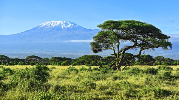 Mount Kilimanjaro in Kenya Amboseli National Park