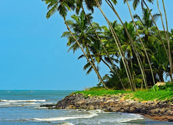 Sri Lanka — Stock Photo, Image