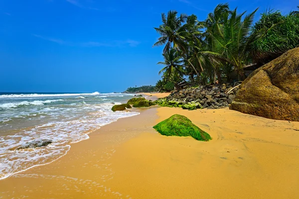 Sri Lanka — Stock Photo, Image