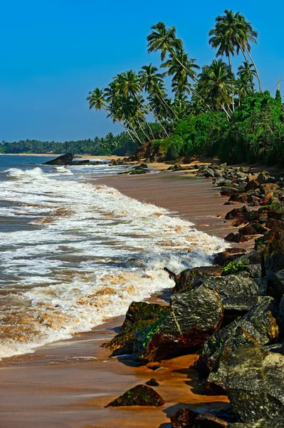 Sri Lanka — Stockfoto