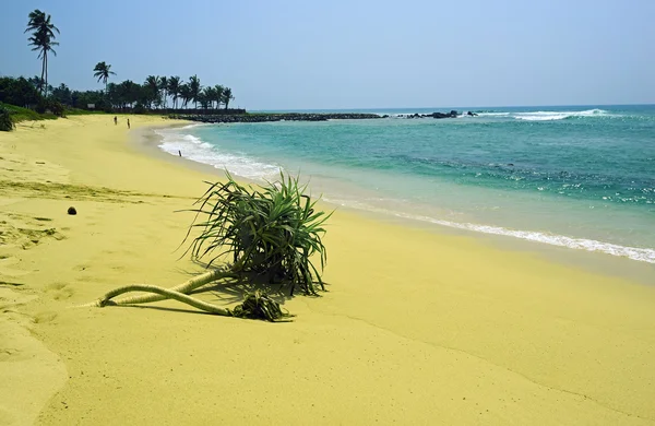 Sri Lanka — Fotografia de Stock