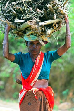 Sri Lanka, 26.05.2012: A kadın taşır a bohça-in çırpı