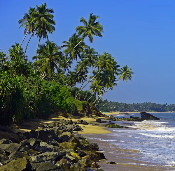 Sri Lanka — Fotografia de Stock