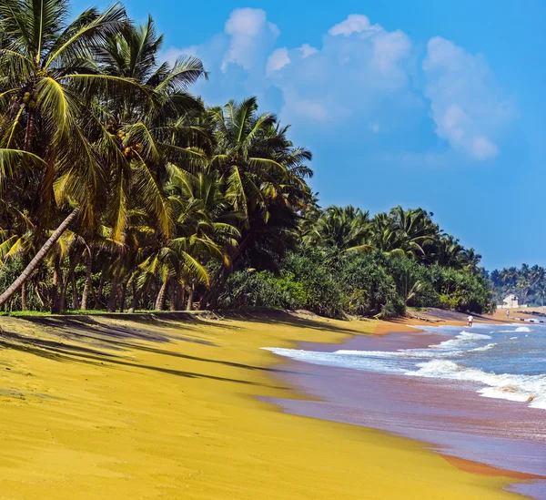 Sri Lanka — Stockfoto