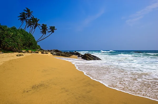 Sri Lanka — Stockfoto