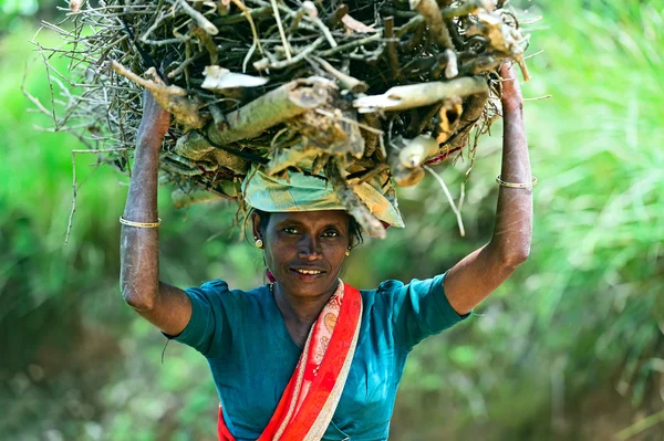 Sri Lanka, 26.05.2012: Una donna porta un fascio di boschetti — Foto Stock