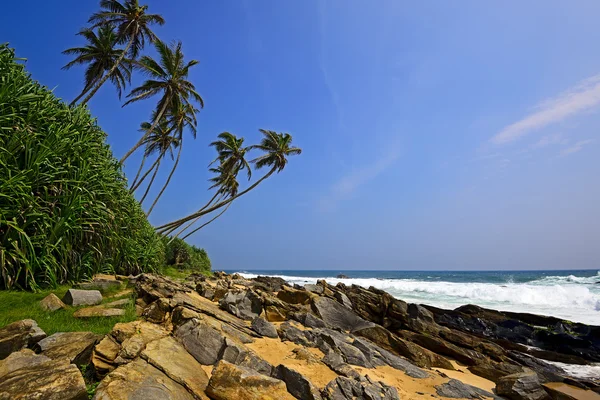 Σρι Λάνκα — Φωτογραφία Αρχείου