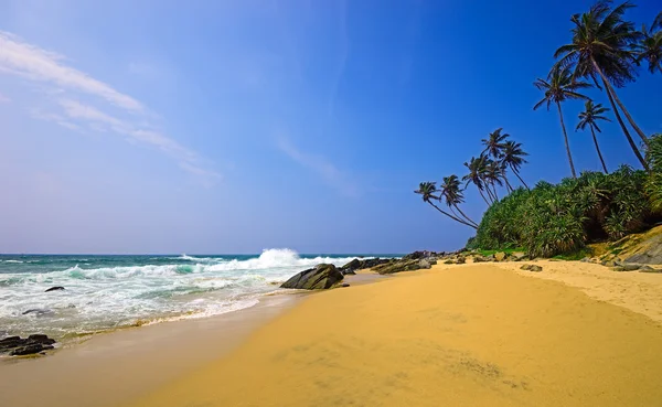 Sri Lanka — Foto de Stock