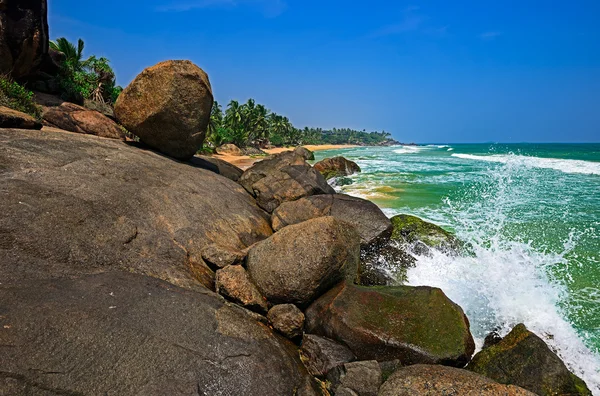 Sri lanka — Stockfoto