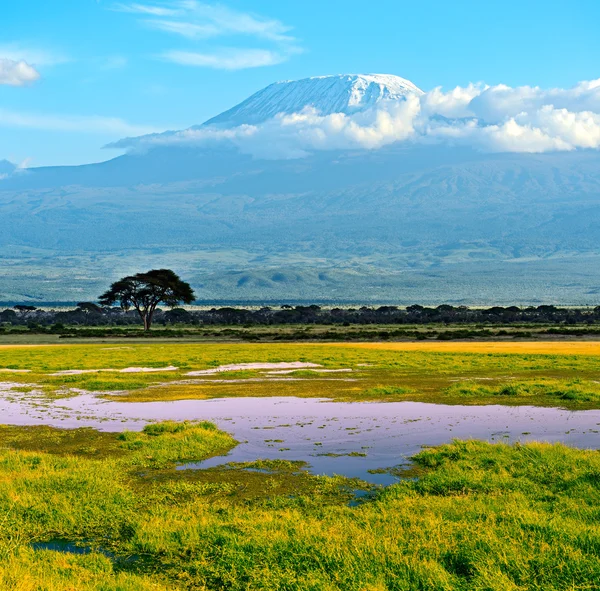 Paisaje africano — Foto de Stock