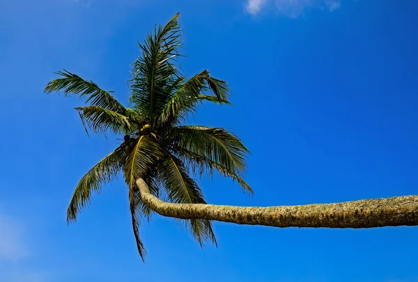 Sri Lanka — Stock Photo, Image