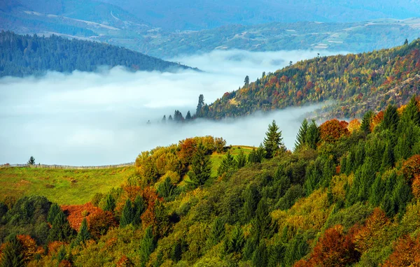 Podzimní krajina — Stock fotografie