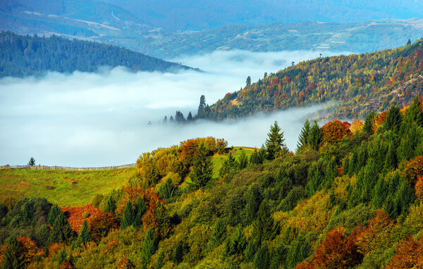 Autumn landscape