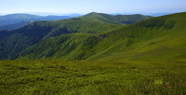 Landscape — Stock Photo, Image