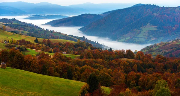 Jesienny krajobraz Obraz Stockowy