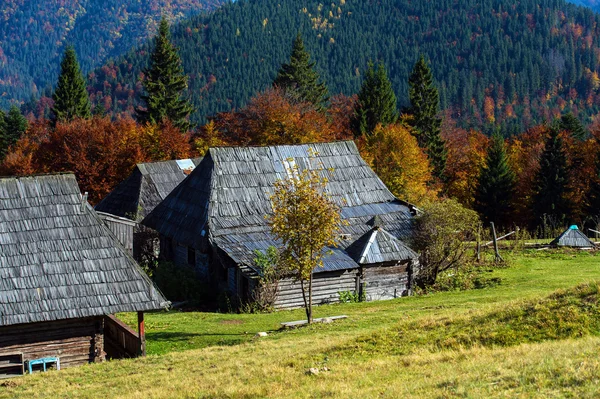 Dağlarda sonbahar manzarası — Stok fotoğraf