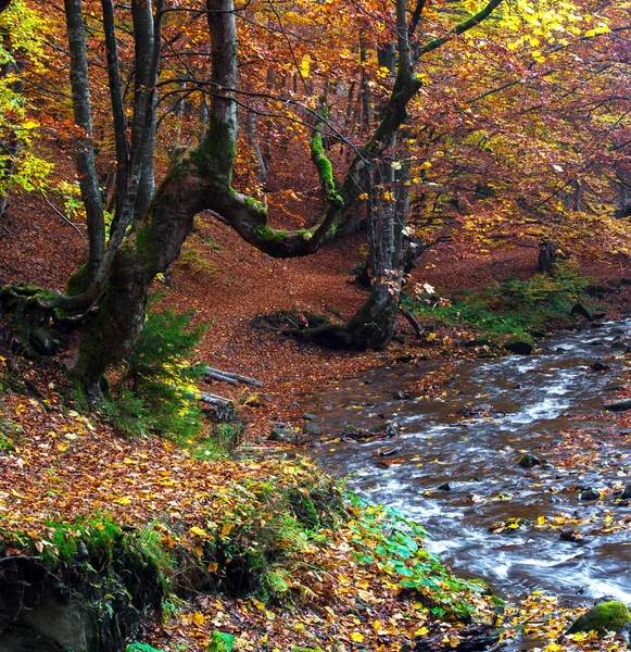 Podzimní krajina v montain — Stock fotografie