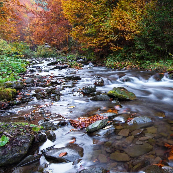 Paesaggio autunnale in montagna — Foto Stock