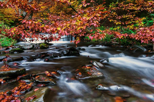 Paisaje de otoño en las montañas — Foto de Stock