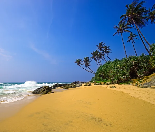 Oceaan kust van Sri Lanka — Stockfoto