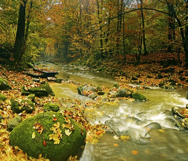 Outono paisagem montanha rio — Fotografia de Stock