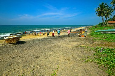 Sri Lanka, 14 Kasım: Hint Okyanusu balıkçılar ile net çekin