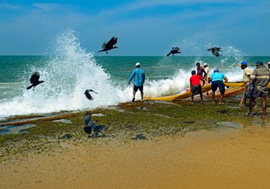 Sri Lanka, 14 Kasım: Hint Okyanusu balıkçılar ile net çekin