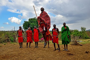 Masai Mara, Kenya - 13 Ağustos: traditiona dans Masai savaşçıları