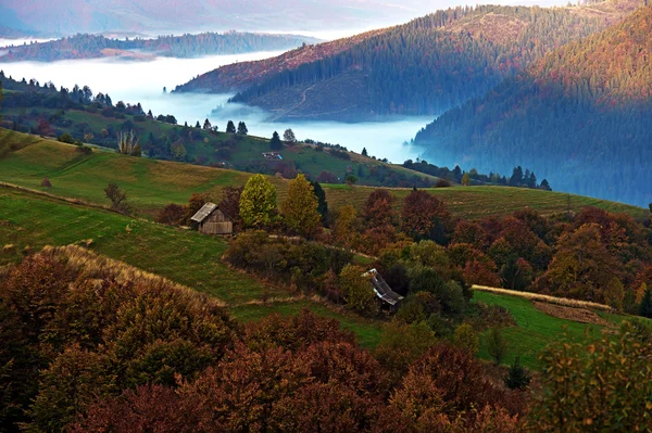 Autumn landscape — Stock Photo, Image