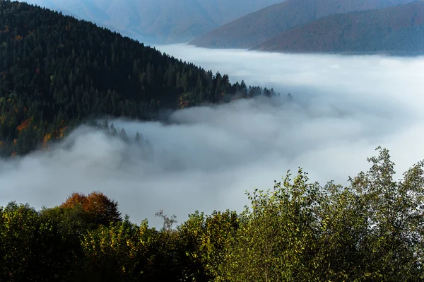 Autumn landscape — Stock Photo, Image