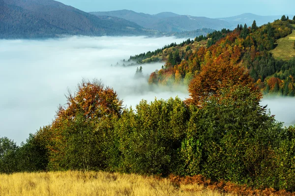 Осінній краєвид — стокове фото