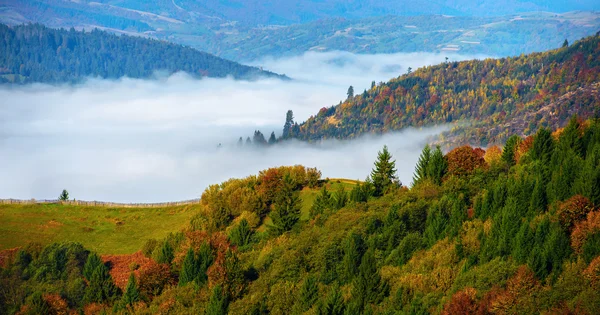 Осінній краєвид — стокове фото