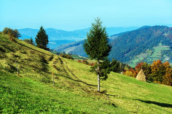 Sonbahar manzarası — Stok fotoğraf