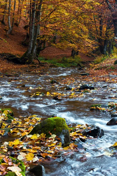 Autumn landscape — Stock Photo, Image