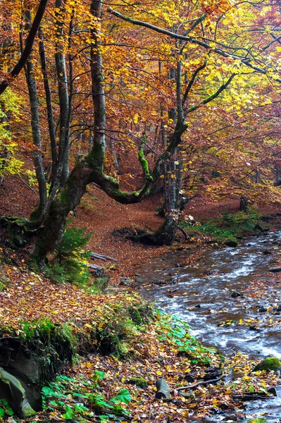 Paesaggio d'autunno — Foto Stock