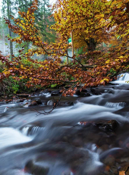 Paysage d'automne — Photo