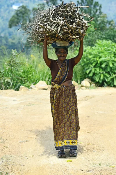 Sri Lanka, November 26: An elderly woman carries home related fi — Stock Photo, Image