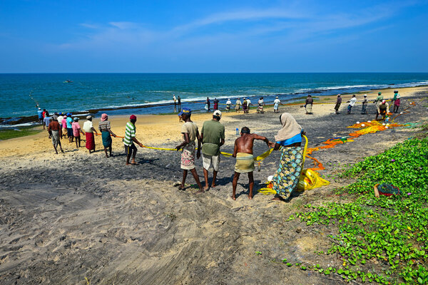 Sri Lanka, November 14: Indian Ocean fishermen pull the net with