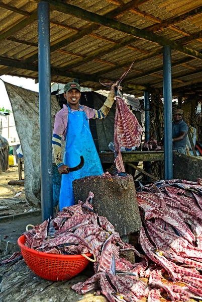 Sri Lanka, 14 de noviembre: pescador del Océano Índico que procesa carcas —  Fotos de Stock