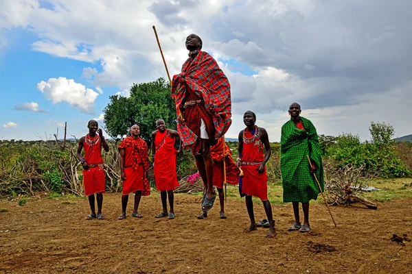 MASAI MARA, KENYA - 13 de agosto: Guerreiros Masai dançando traditiona — Fotografia de Stock