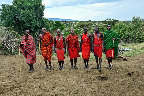 MASAI MARA, KENYA - 13 de agosto: Guerreiros Masai dançando traditiona — Fotografia de Stock