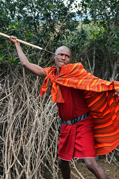 MASAI MARA, KENYA - 13 agosto: I guerrieri Masai danzano tradizionalmente — Foto Stock