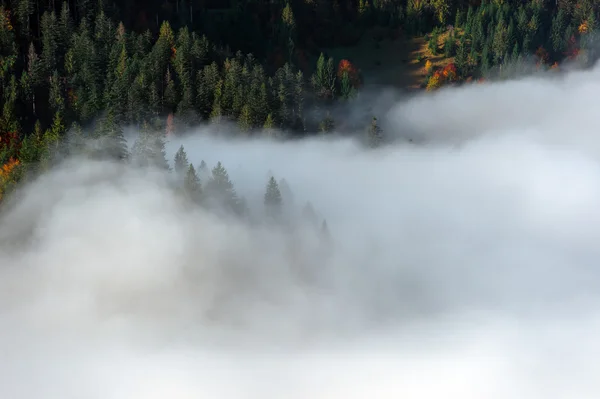 Jesienny krajobraz Obraz Stockowy