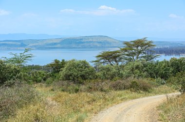 Lake Nakuru Kenya clipart