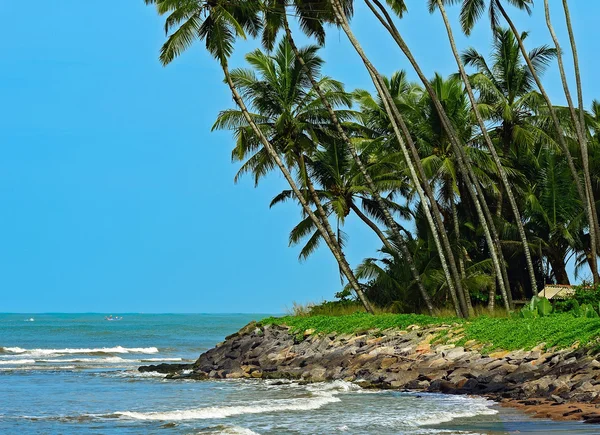 Costa oceânica do Sri Lanka — Fotografia de Stock